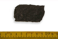 F 00931
<br/>
<br/>
<em></em>